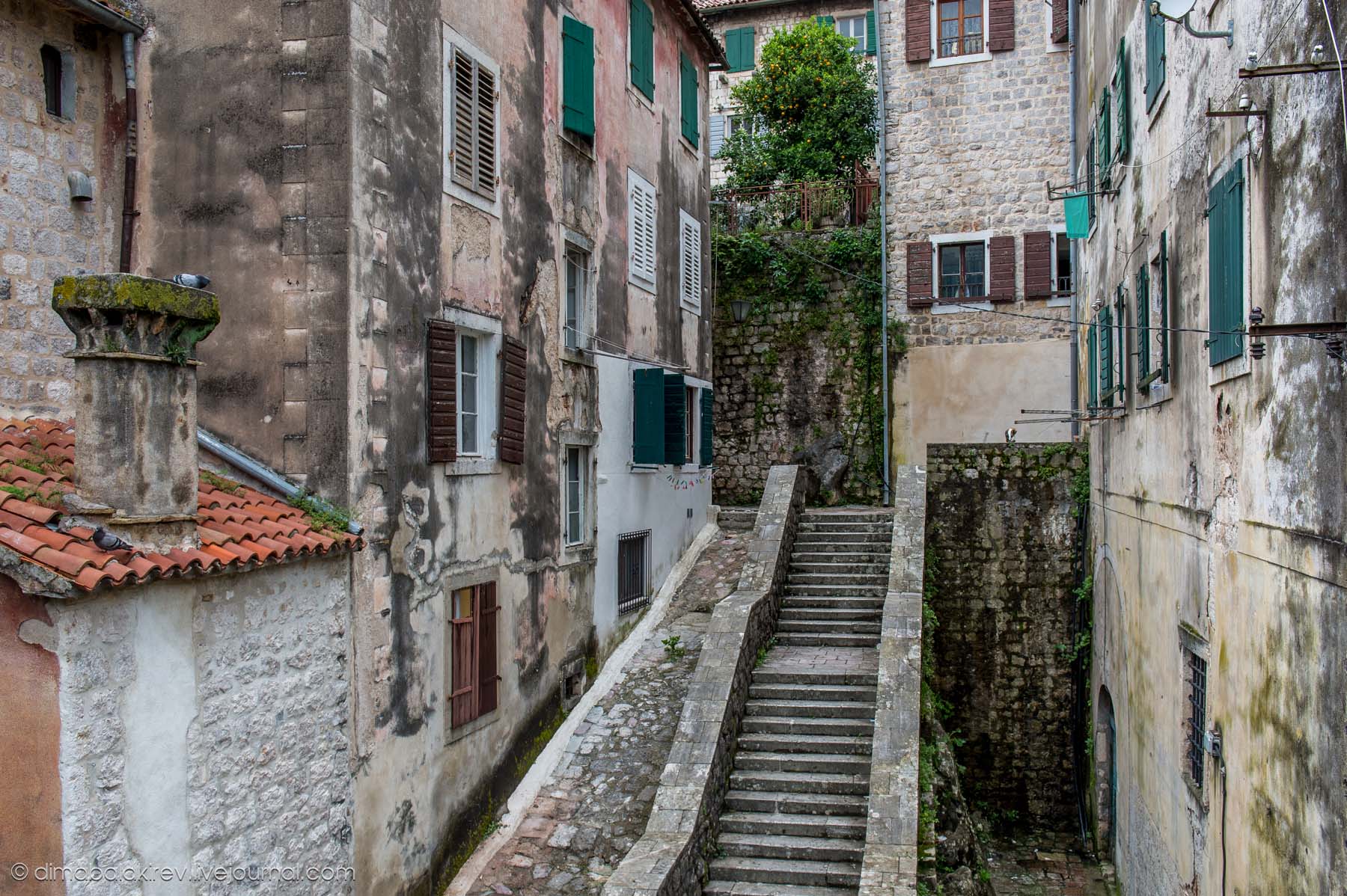 Kotor